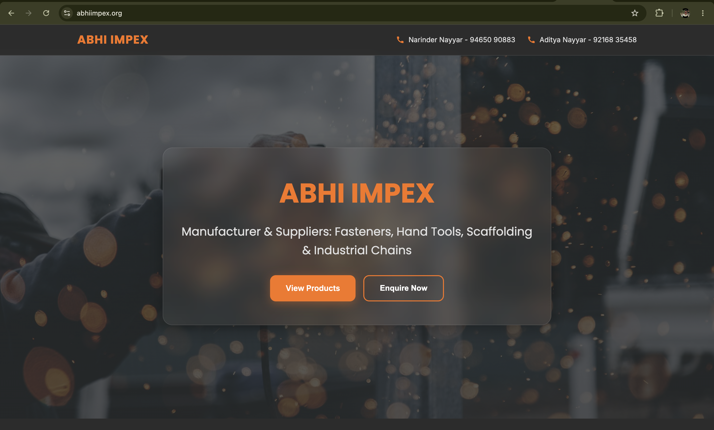 Business Website project screenshot